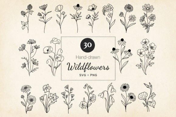 Download Minimal Wildflowers Set SVG, EPS, PNG - Svg Collection