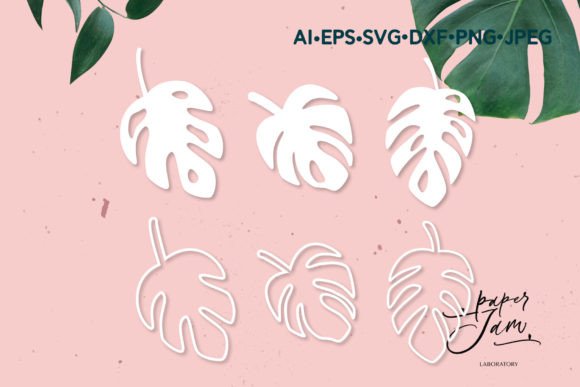 Download Monstera Leaves SVG Tropical Svg - Svg Collection