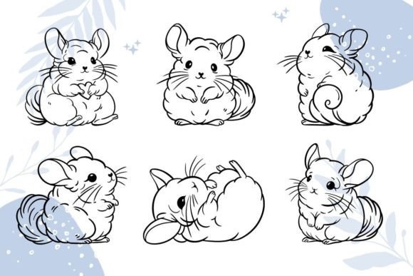 Download Chinchilla SVG, Clipart - Svg Collection