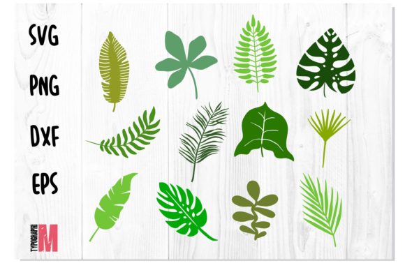 Download Jungle Leaves Tropical SVG Bundle - Svg Collection